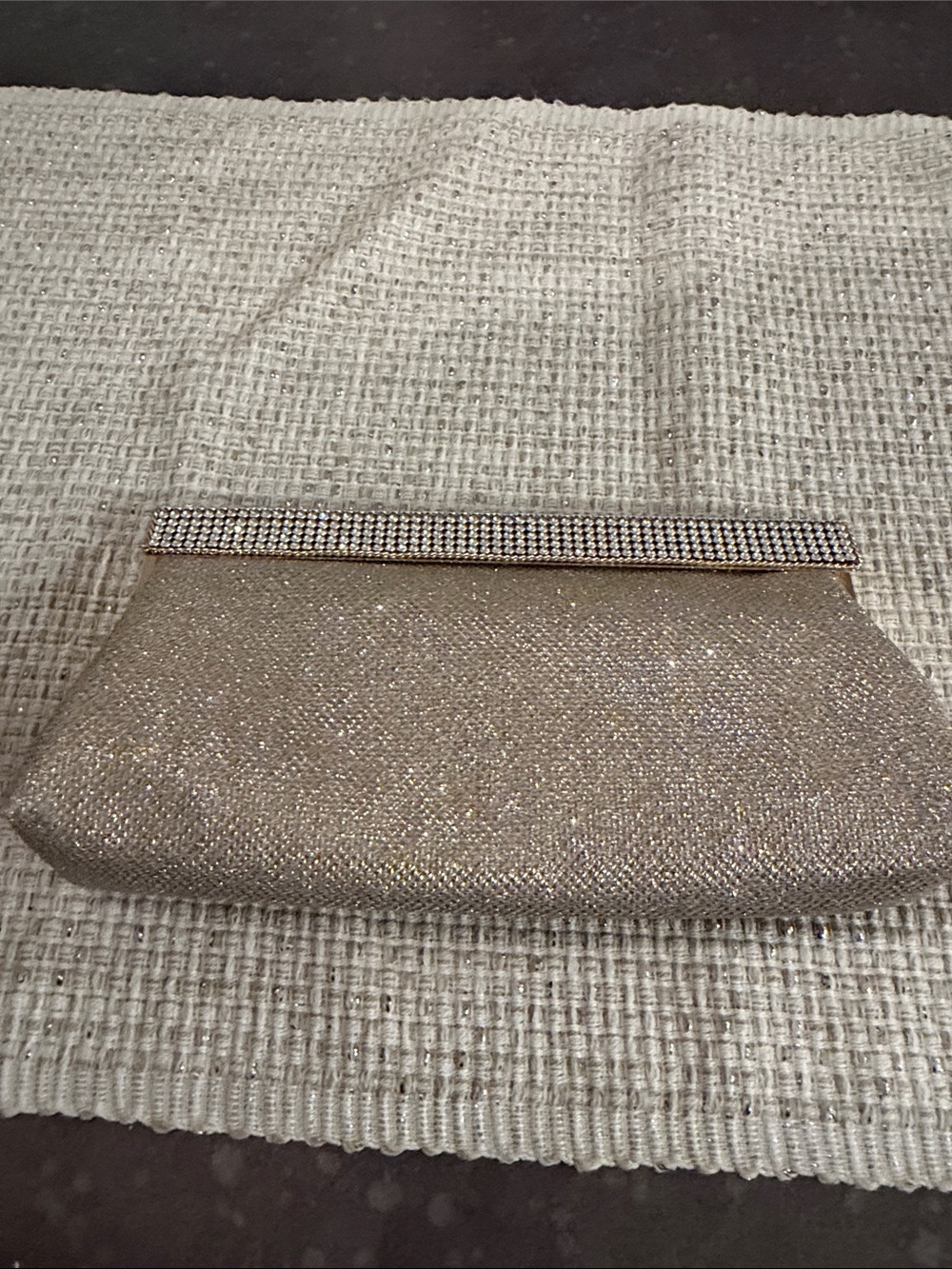 Nina Champagne Glitter Rhinestone-Trim Clutch BNWOT